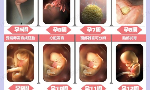 皮炎吃药一般多久见效-皮炎用药期间能洗脸吗女生,中国皮炎用药期间能洗脸吗网站